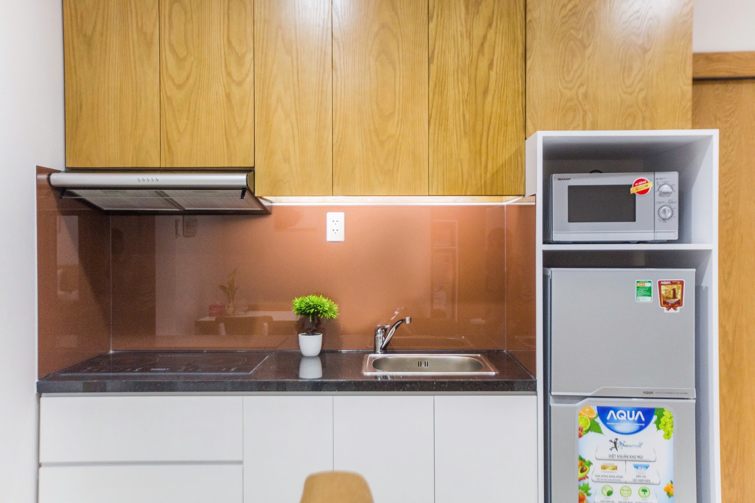 CĂN HỘ 1 PHÒNG NGỦ CAO CẤP Ở VEN SÔNG FULL NỘI THẤT CAO CẤP PHÒNG KHÁCH RỘNG Ở TRƯỜNG SA SÁT QUẬN 1 ảnh 5